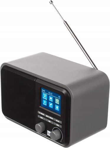 Radio sieciowe DAB+, FM Dual DAB 51 na Arena.pl