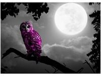 50X70CM FIOLETOWA SOWA OBRAZ POKOJU DREWNINE