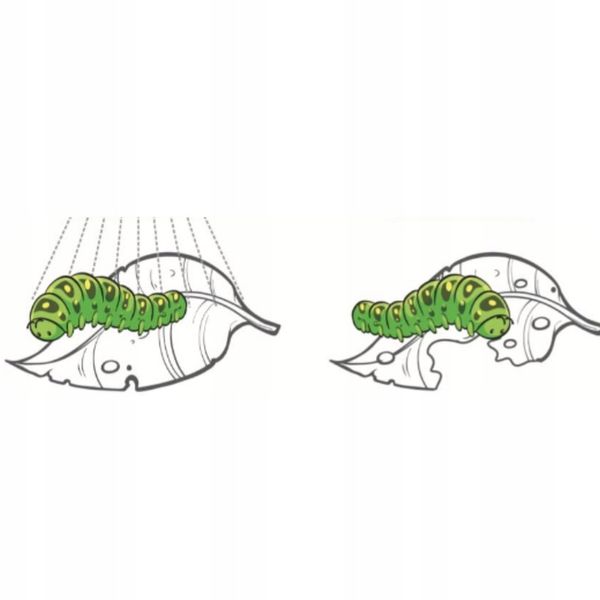 ŚRODEK PREPARAT NA MSZYCE CYPERKILL MAX 500 EC 250ML OWADOBÓJCZY DO WARZYW zdjęcie 12