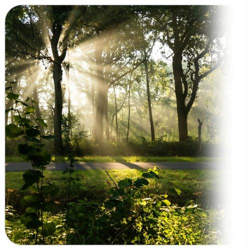 Zestaw 6x Żarówka LED E27 8W=60W 806lm 160° Nie Mruga Premium Ciepła na Arena.pl