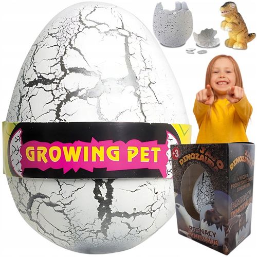 5x JAJO jajko dinozaura wykluwający rosnący DINOZAUR DUŻE NA PREZENT na Arena.pl