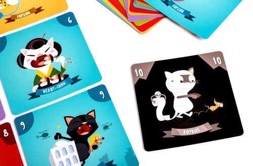 Gra Kotostrofa na Arena.pl