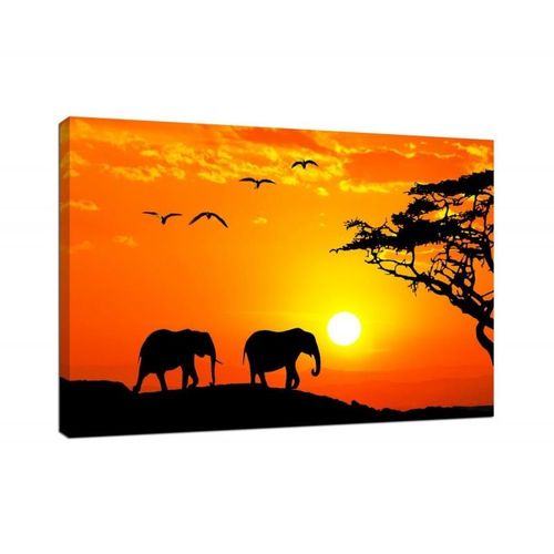 Obraz na płótnie - Canvas, Safari 70x50 na Arena.pl