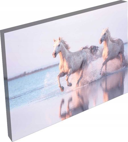 OBRAZ na płótnie zwierzęta widok safari 120x80 na Arena.pl