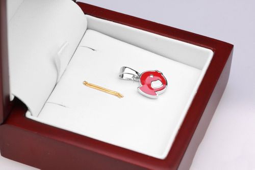 Wisiorek Staviori WDE2929 na Arena.pl