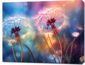 Obraz 90x70cm Delikatna Magia