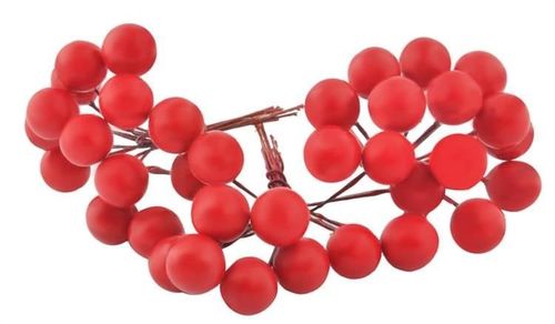 Jarzębina dekoracyjna na Arena.pl