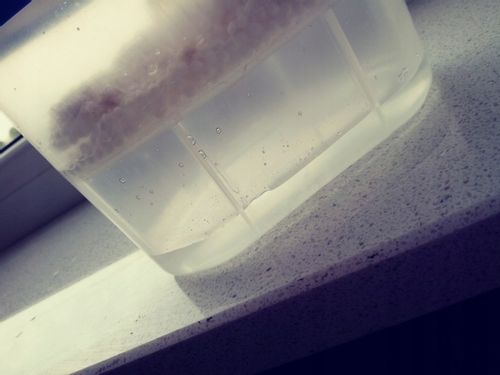 Pochłaniacz wilgoci, osuszacz stojący , zestaw 7 sztuk na Arena.pl