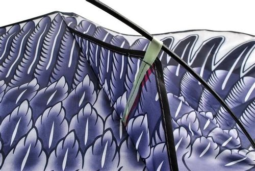 ND12_13685 Latawiec - orzeł  5902802911025 na Arena.pl