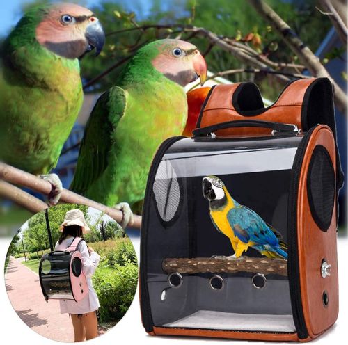 TRANSPORTER DLA PAPUG PTAKÓW NIMF ŻAKO GRZĘDA 2kol na Arena.pl