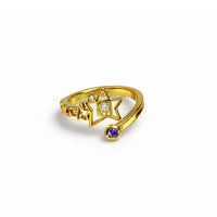 Jotaro Kujo | Rozmiar Regulowany | Metal | Pierścień | Jojo's BA