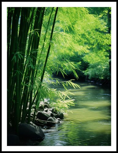 Plakat 60x80cm Spokój Bambusów na Arena.pl