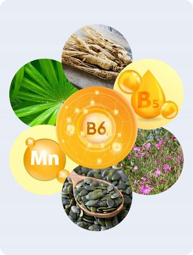 Proctotivo - wsparcie dla układu moczowego na Arena.pl