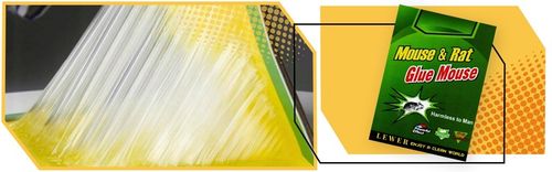 LEP NA MYSZY SZCZURY PUŁAPKA 100x ŁAPKA MYSZOŁAPKA SILNY MOCNY KLEJ na Arena.pl