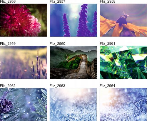 FOTOTAPETA mur ściana w liściach rośliny natura na Arena.pl