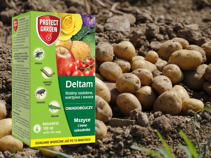 DELTAM ŚRODEK OWADOBÓJCZY MSZYCA KWIECIAK SKOCZEK GĄSIENICE MOTYLI 100ML zdjęcie 2