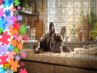 Puzzle tradycyjne Zwierzęta - Pies