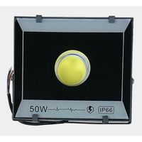 Halogen Led 50W Mocny 5000Lm Zimny Cob 1 X 50W Wodoodporny Ip66