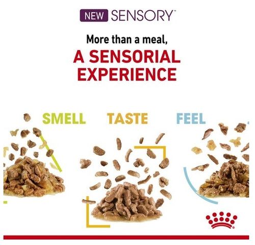 Royal Canin Sensory Feel W Sosie Karma Mokra Dla Kotów Dorosłych Saszetka na Arena.pl