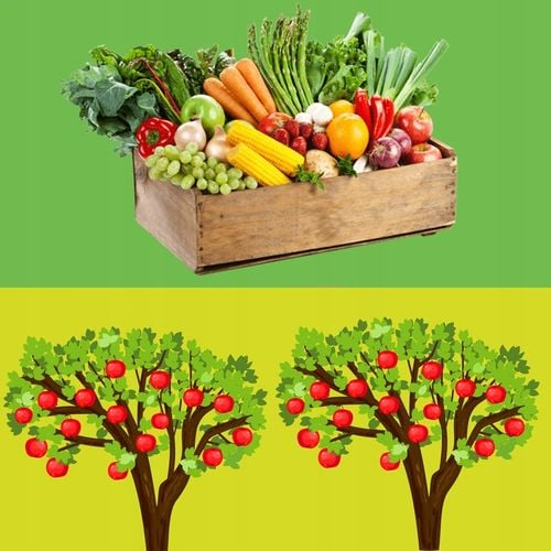 Nawóz MĄCZKA BAZALTOWA w PROSZKU 72 Pierwiastki Wiosenny Trawnik 25KG na Arena.pl