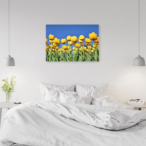 Obraz na płótnie – Canvas, Tulipany 90x60 na Arena.pl