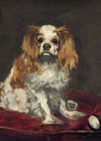 Plakat 50x70cm A King Charles Spaniel,  Edouard Manet do Salonu