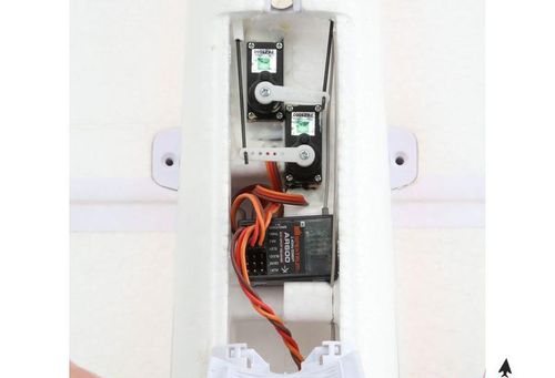 Radian BNF Basic na Arena.pl