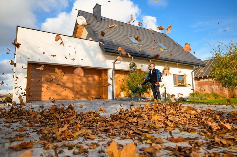 CEDRUS DM05 PRO PROFESJONALNY ODKURZACZ  DMUCHAWA SPALINOWA OGRODOWA DO LIŚCI - OFICJALNY DYSTRYBUTOR - AUTORYZOWANY DEALER CEDRUS zdjęcie 19