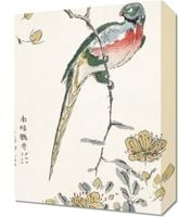 Obraz 30x40cm Macaw, Kashu Japoński Vintage do Salonu