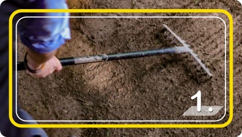 Trawa Nasiona Samozagęszczająca UNIWERSALNA odporna na deptanie 5kg 2024r. na Arena.pl