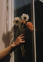 product-compare-59366801