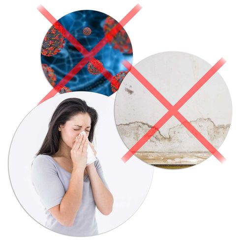 Osuszacz powietrza - pochłaniacz wilgoci Berdsen BR-20A na Arena.pl