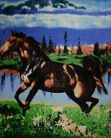 Koc Ze Zwierzętami Polarowy 160X200 Koń 12743