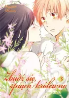 Manga o dziewczynie nawiedzanej przez duchy Zbudź się śpiąca królewno Tom 3