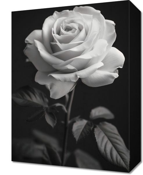 Obraz 30x40cm Płatki Róż zdjęcie 1