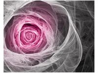 40X50CM OBRAZ PINK ROSE OBRAZ