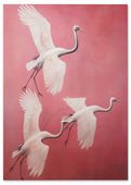 Plakat ptaki na różowym tle 50x70 cm