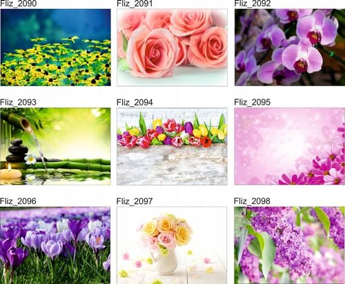 FOTOTAPETA KWIATY KWITNĄCE DRZEWO na Arena.pl