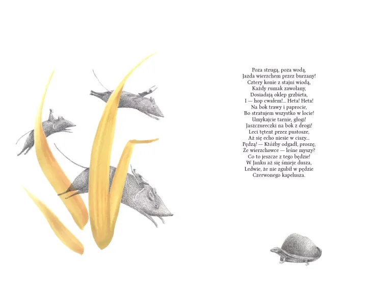 Na jagody zdjęcie 5