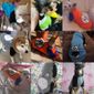 thumbnail-4