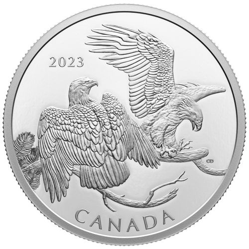 Canada: The Striking Bald Eagle $30 Srebro 2023 Proof na Arena.pl