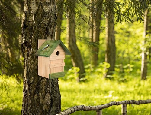 Budka lęgowa dla ptaków sikorek kosa karmnik domek MIX - 4szt na Arena.pl