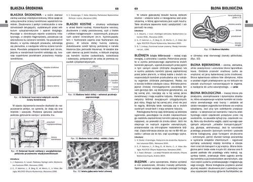 Encyklopedia szkolna - biologia na Arena.pl