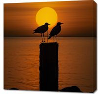 Obraz 70x70cm Rozmowy przy Zmierzchu