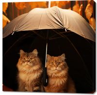 product-compare-59471662