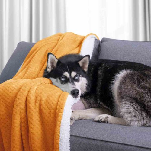 BLA/AH/SHLEEPY/ORANGE/130X180 na Arena.pl