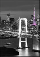 100 70CM OBRAZ PŁÓTNO NOCNY WIDOK PŁÓTNO RAMA