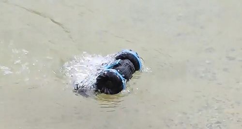 SAMOCHÓD STEROWANY GESTAMI + 2 x PILOT PŁYWAJĄCY samochód zdalnie sterowany na Arena.pl