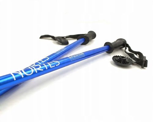 KIJE KIJKI TREKKINGOWE NORDIC EVOLUTION NORTES na Arena.pl