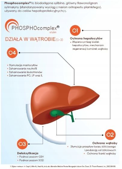 Aliness Liver Regeneration WSPIERA WĄTROBĘ VEGE 90 zdjęcie 6